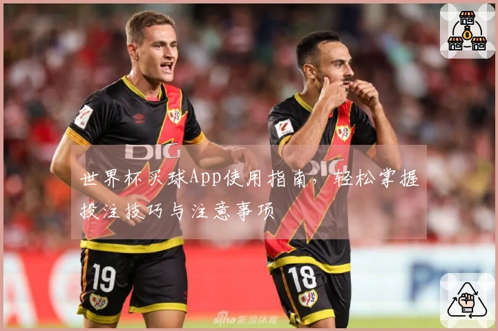 世界杯买球App使用指南，轻松掌握投注技巧与注意事项